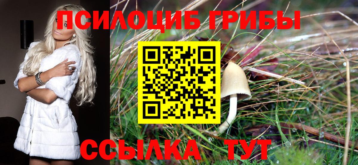 Галлюциногенные грибы прущие грибы  купить наркотик  Кимры  Вход с VPN 