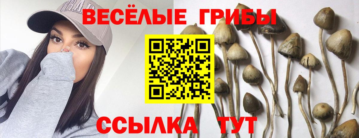 Галлюциногенные грибы ЛСД Кимры